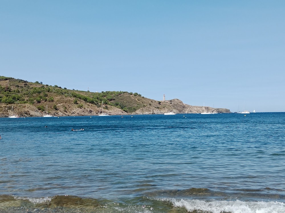 Plage de Paulilles