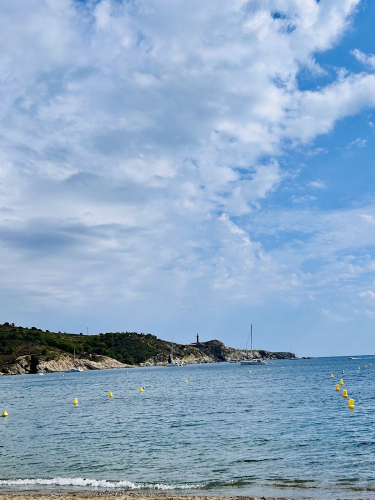 Plage de Paulilles