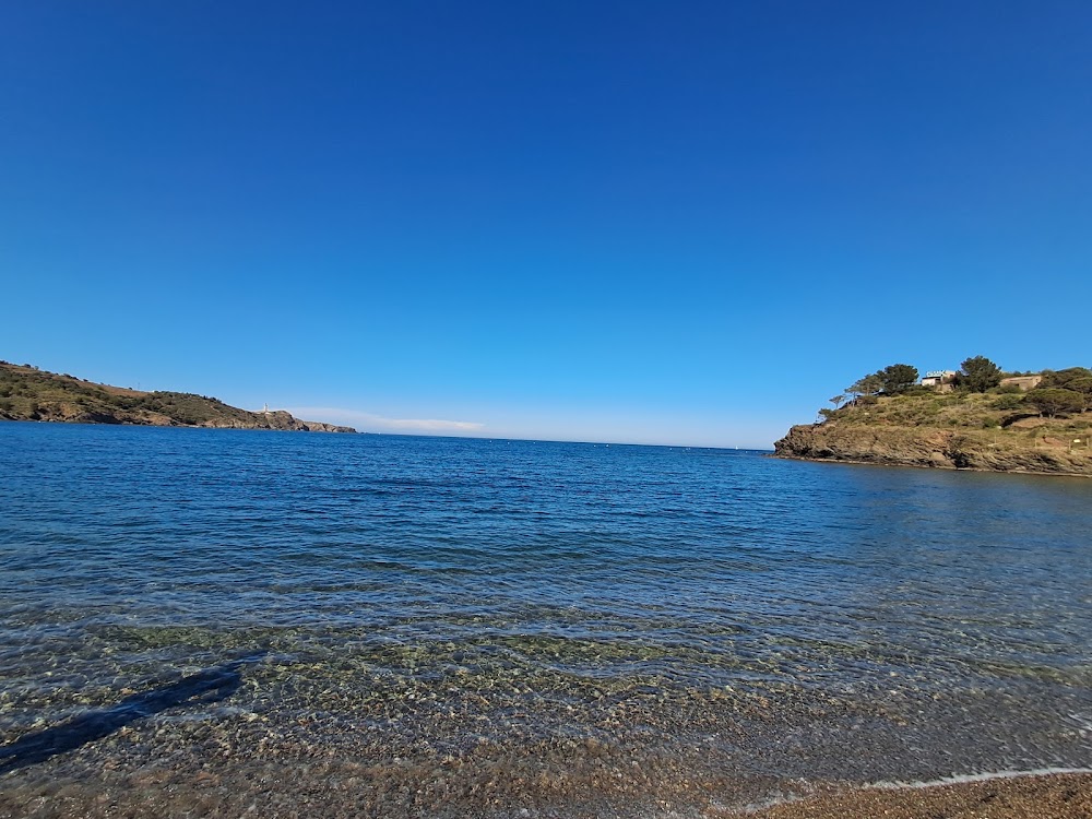 Plage de Paulilles