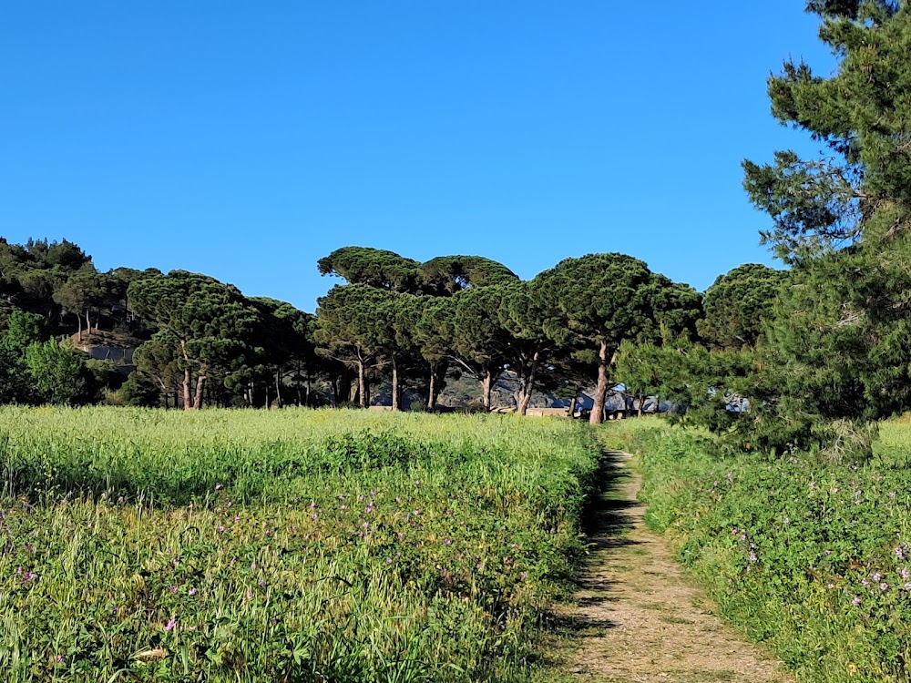 Plage de Paulilles