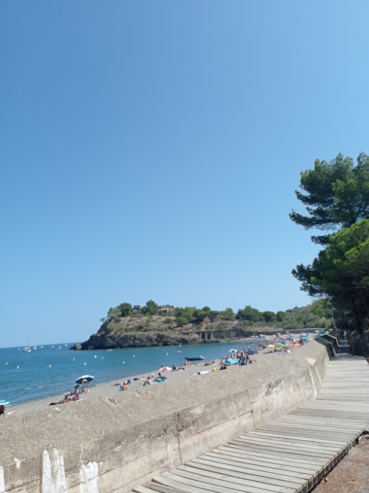 Plage de Paulilles