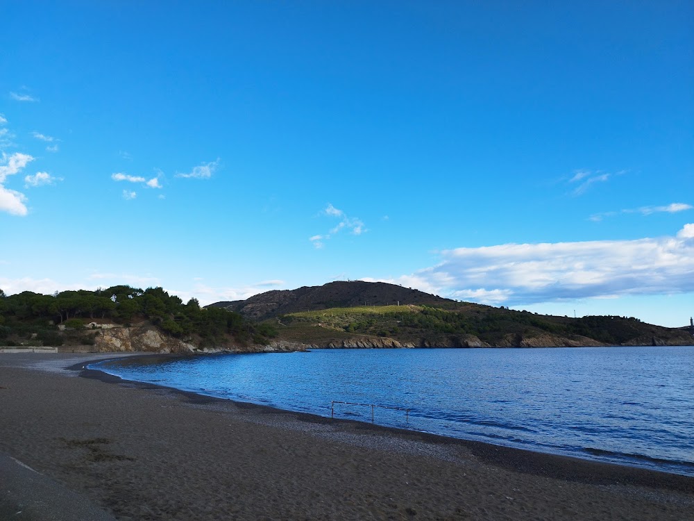 Plage de Paulilles