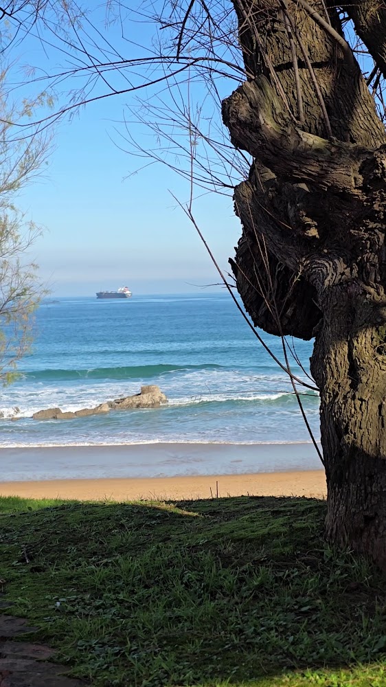 Playa de la Magdalena