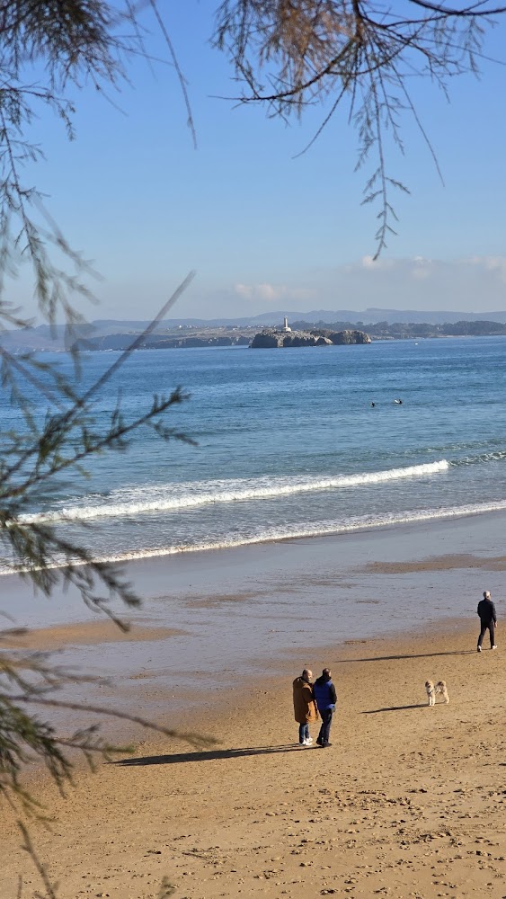 Playa de la Magdalena
