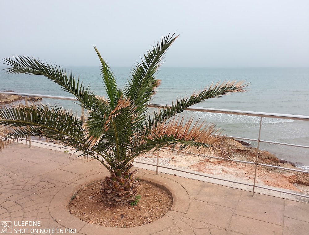 Playa de las Fuentes