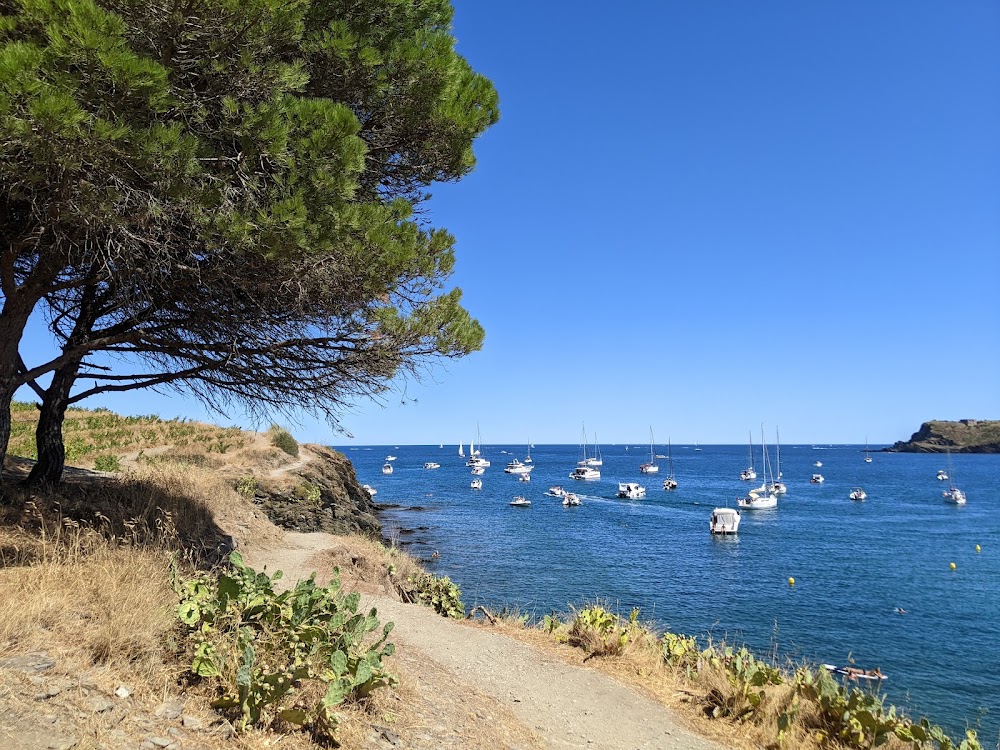 Plage de Bernardi