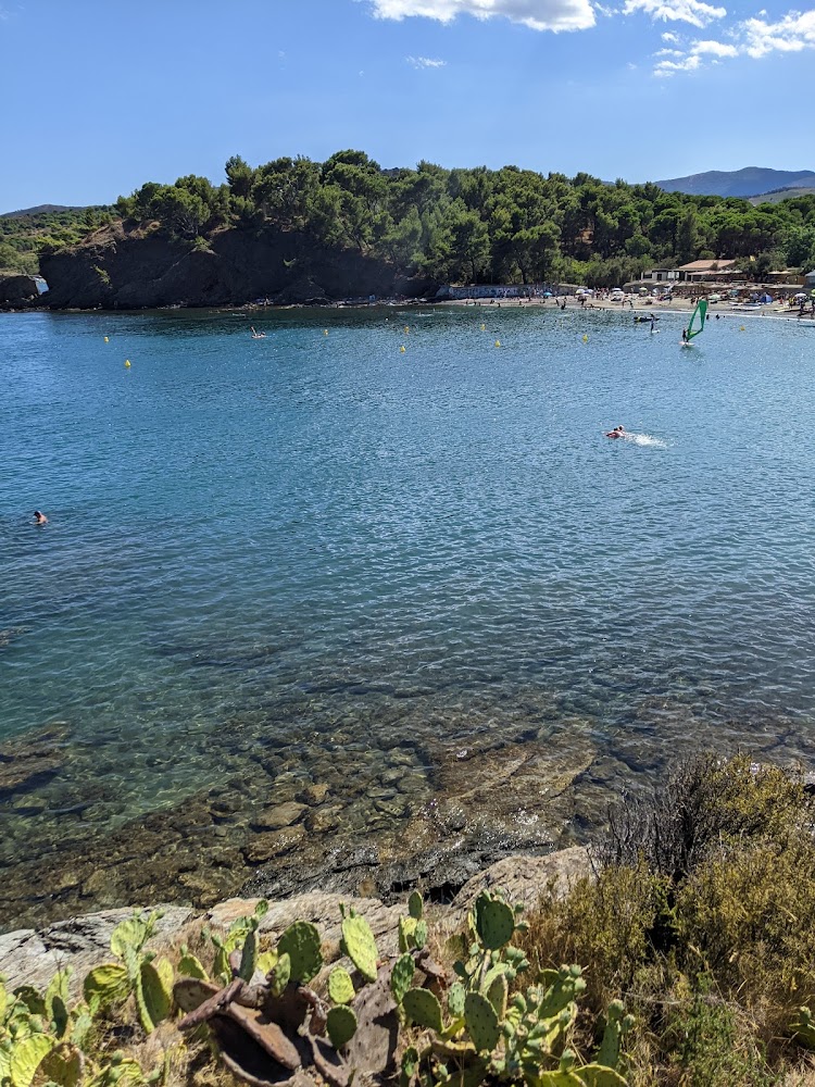 Plage de Bernardi