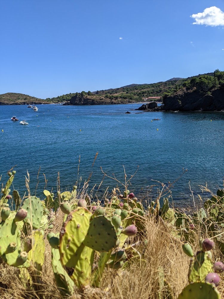 Plage de Bernardi