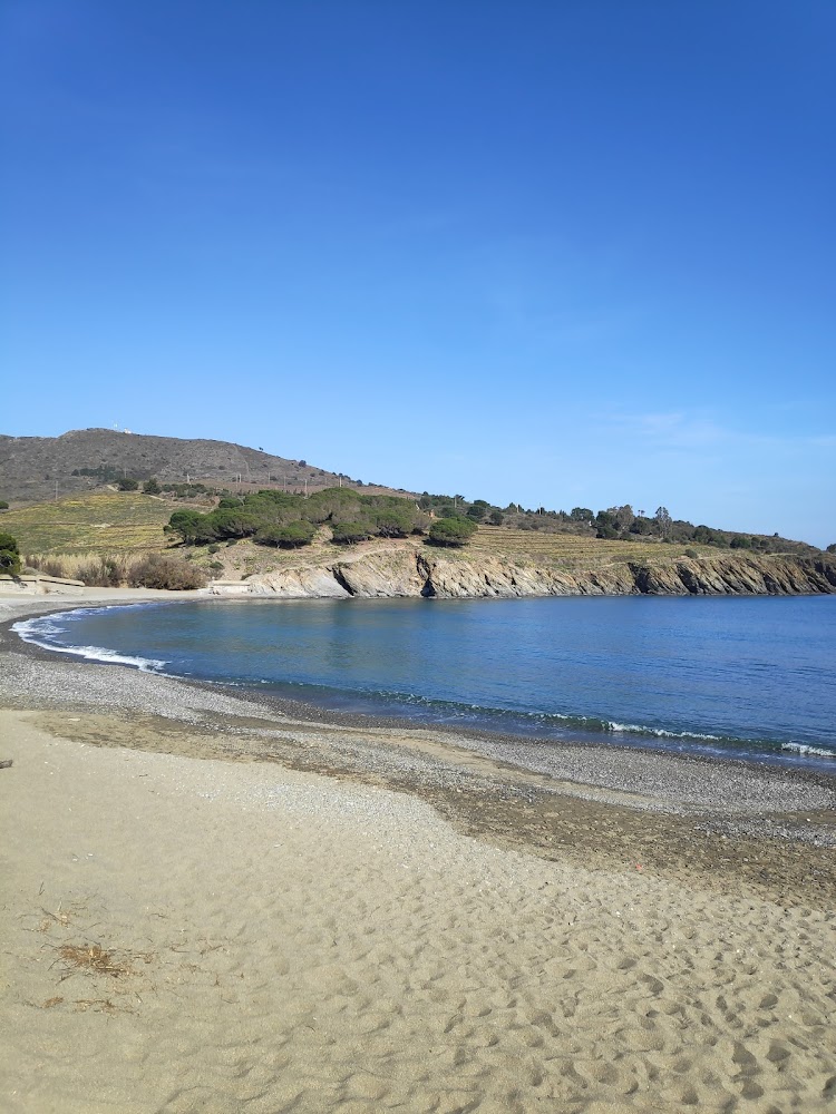 Plage de Bernardi