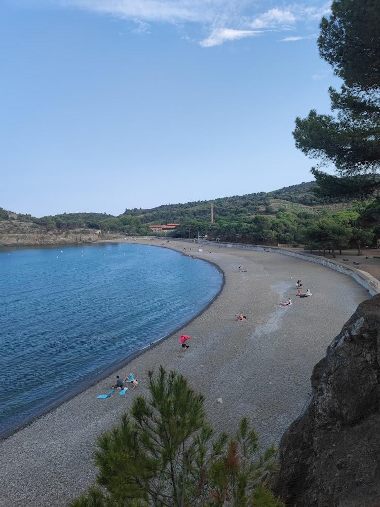 Plage de Bernardi