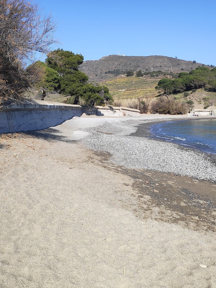 Plage de Bernardi