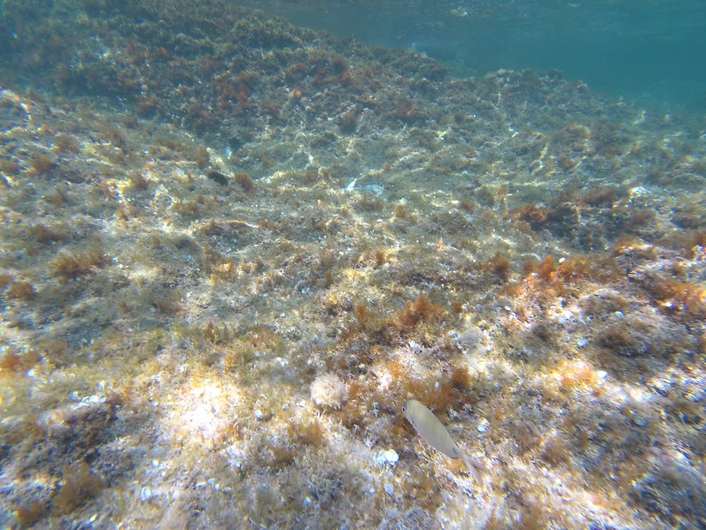 Plage de Bernardi
