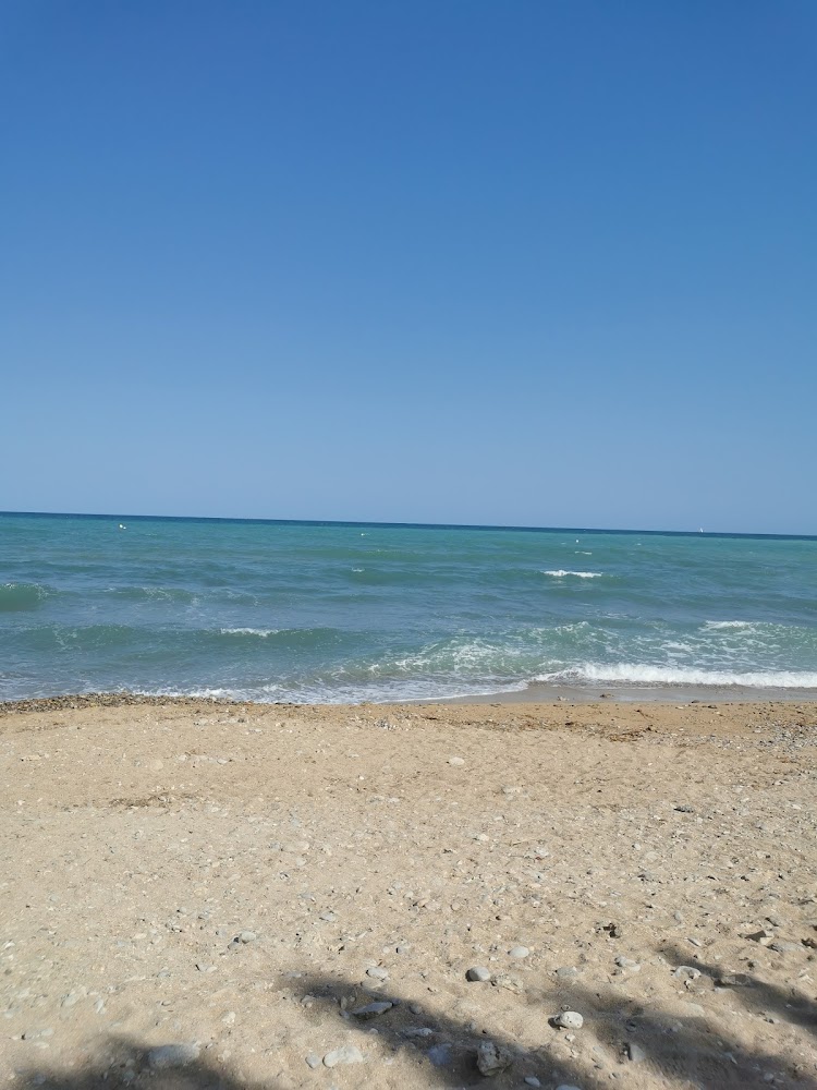 Platja canina El Barranquet