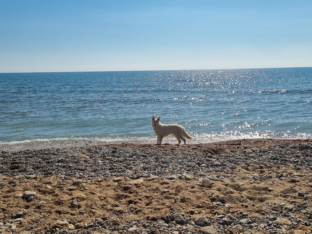 Platja canina El Barranquet