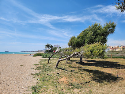 Platja canina El Barranquet