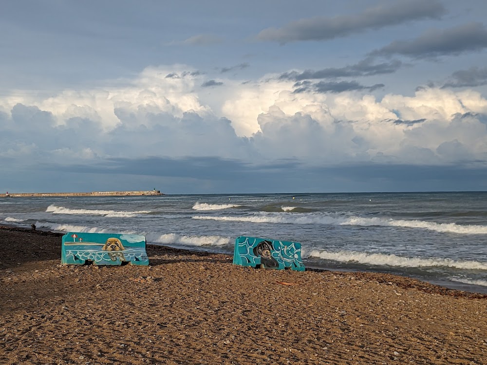 Platja canina El Barranquet