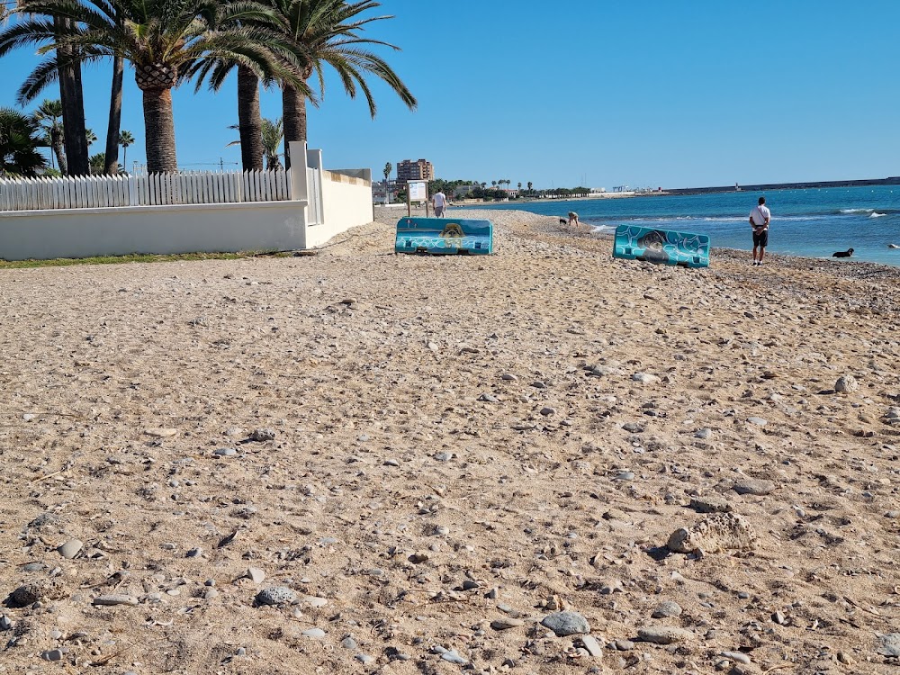 Platja canina El Barranquet