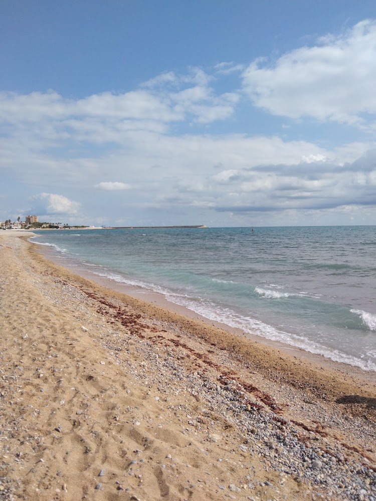 Platja canina El Barranquet