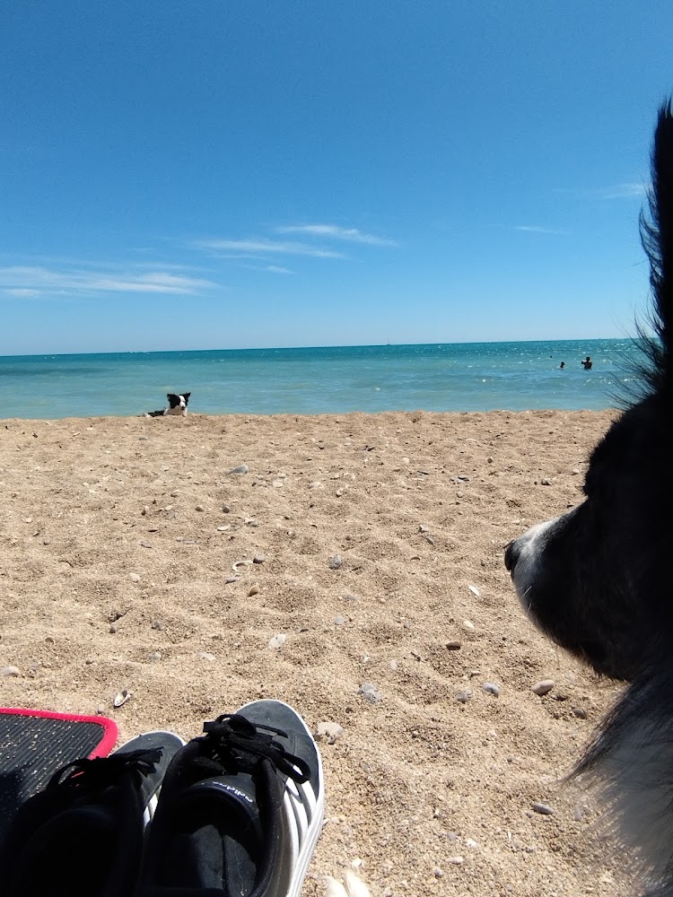 Platja canina El Barranquet
