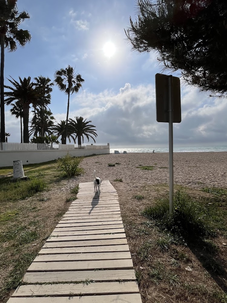 Platja canina El Barranquet