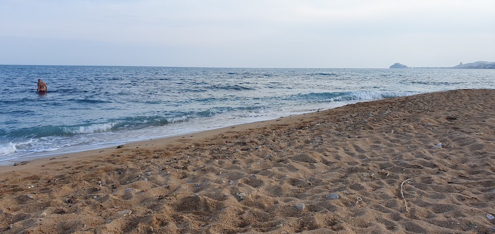 Platja canina El Barranquet