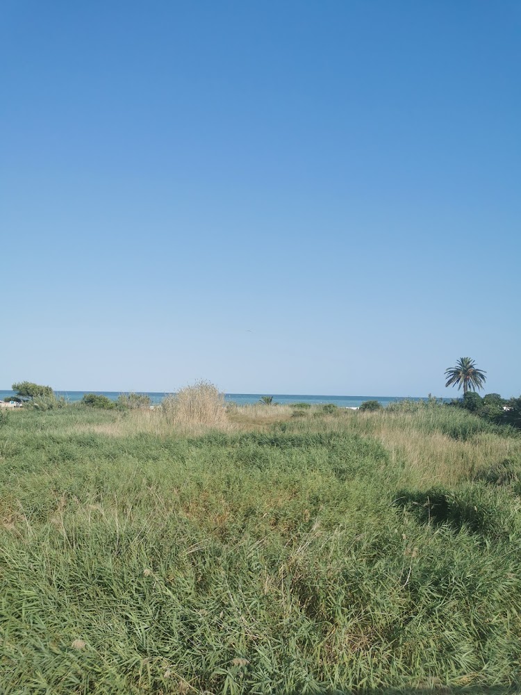 Platja canina El Barranquet