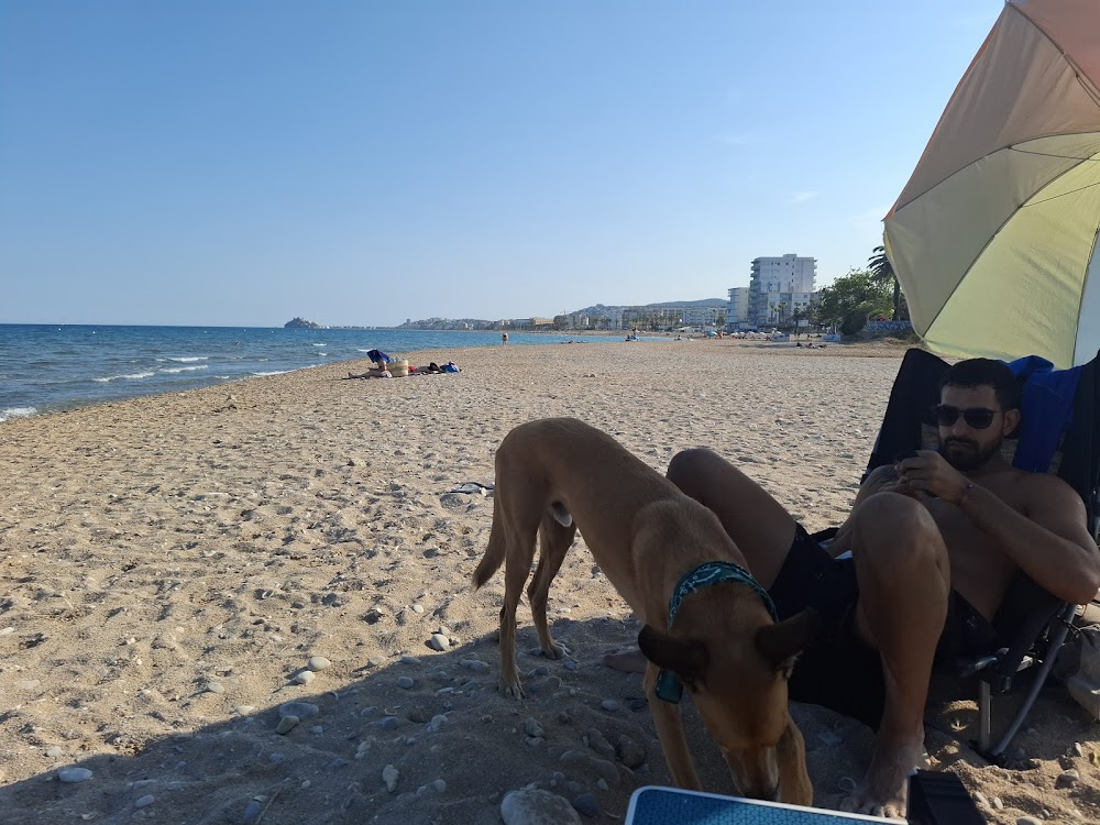 Playa de Morrongo