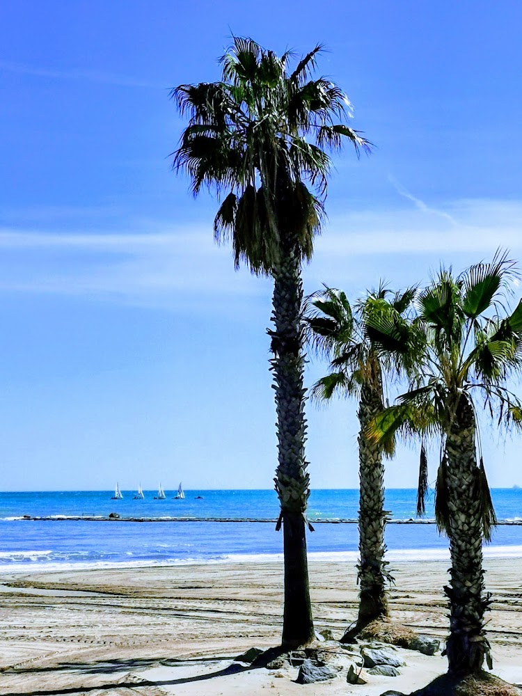 Voramar