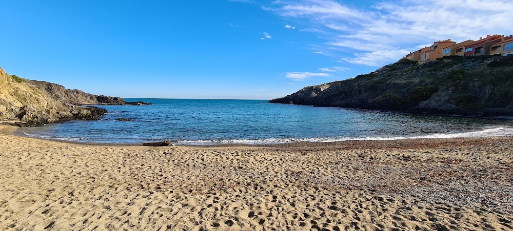 Plage de l'Oli