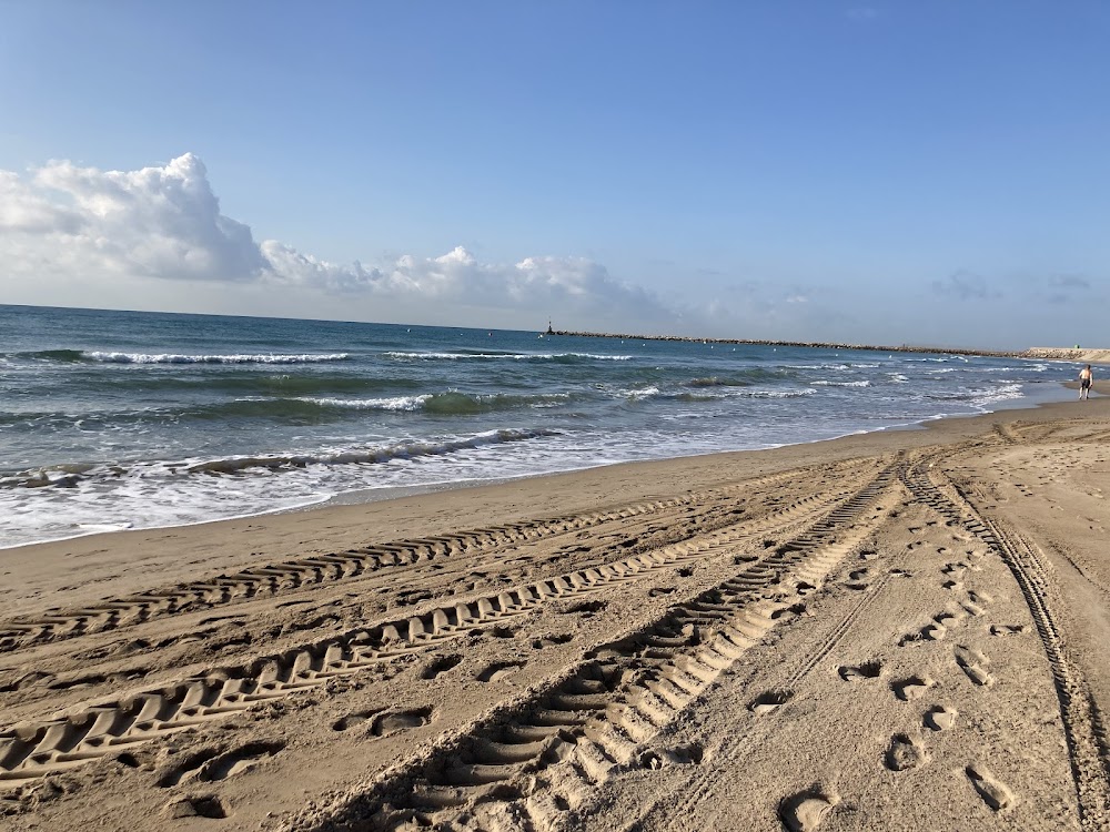 Platja l'Arenal
