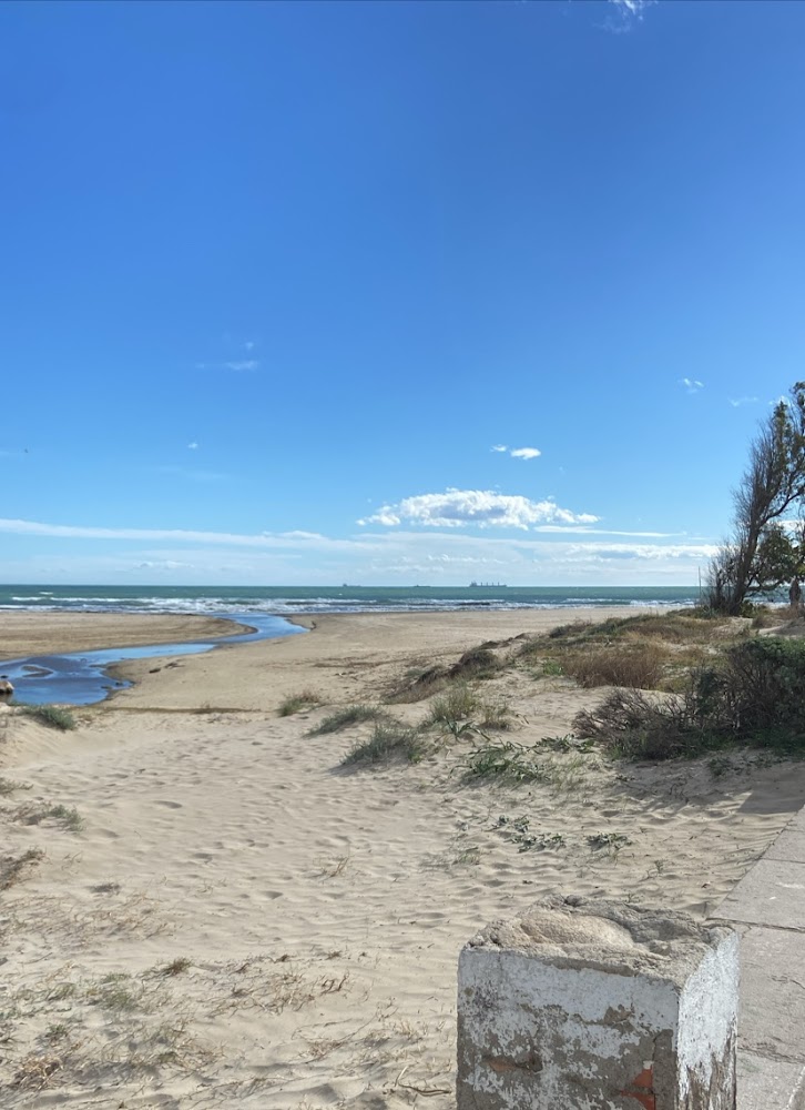 Platja del Pinar