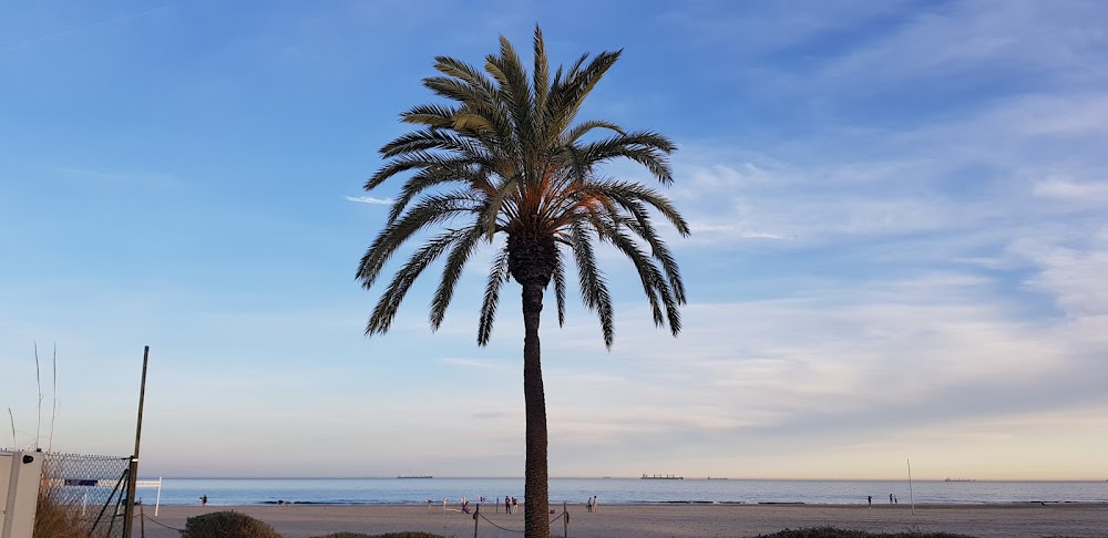 Platja del Pinar