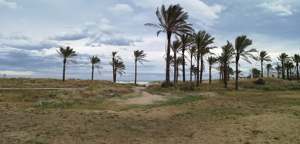 Platja del Pinar