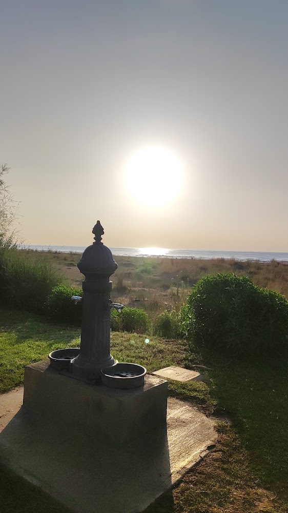 Playa Del Serradal
