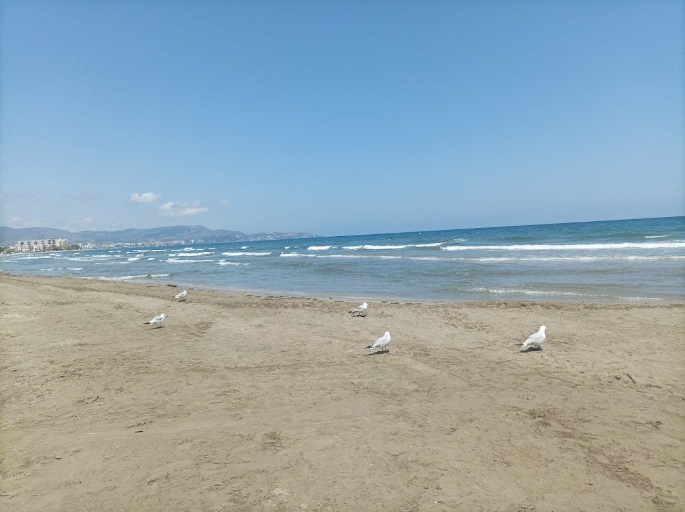Playa Del Serradal