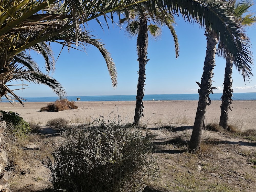 Playa Del Serradal
