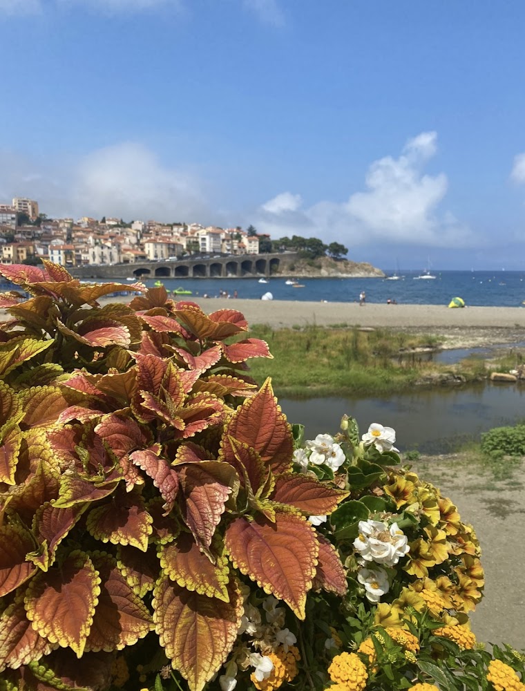 Plage Centrale