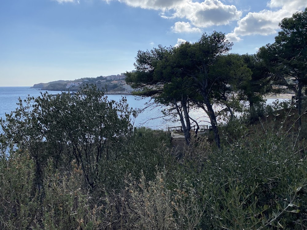 Plage Centrale