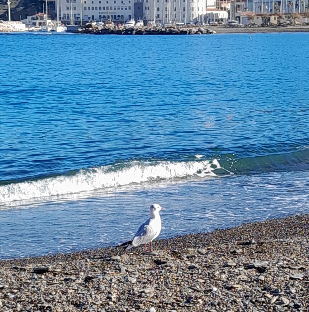 Plage Centrale