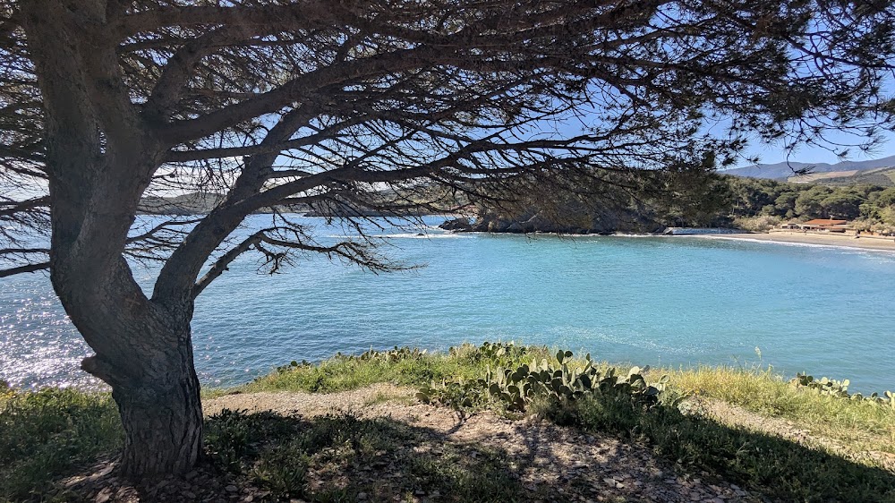 Plage Centrale