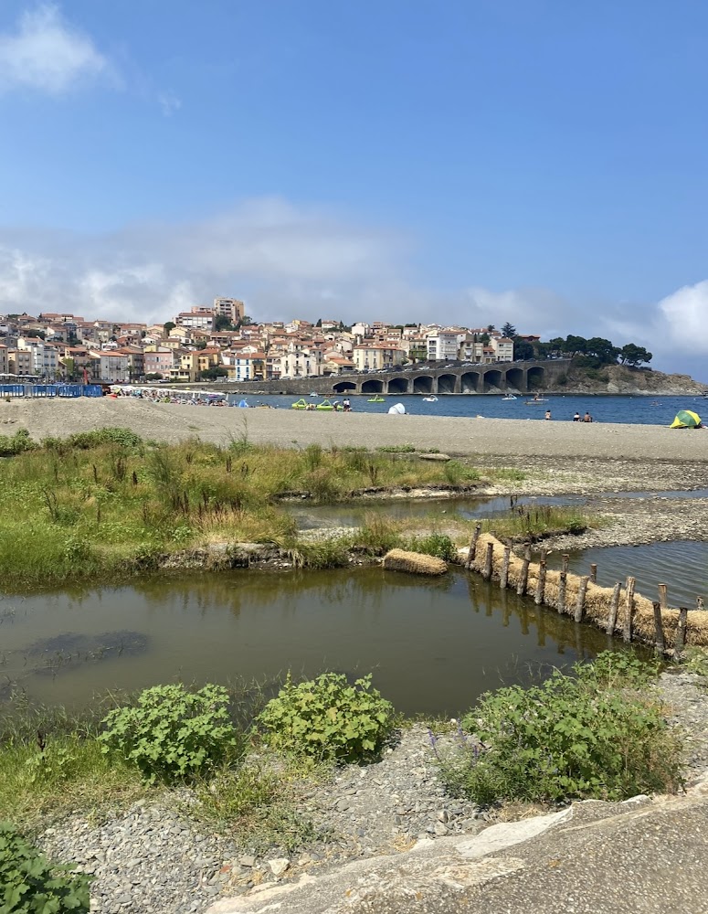 Plage Centrale