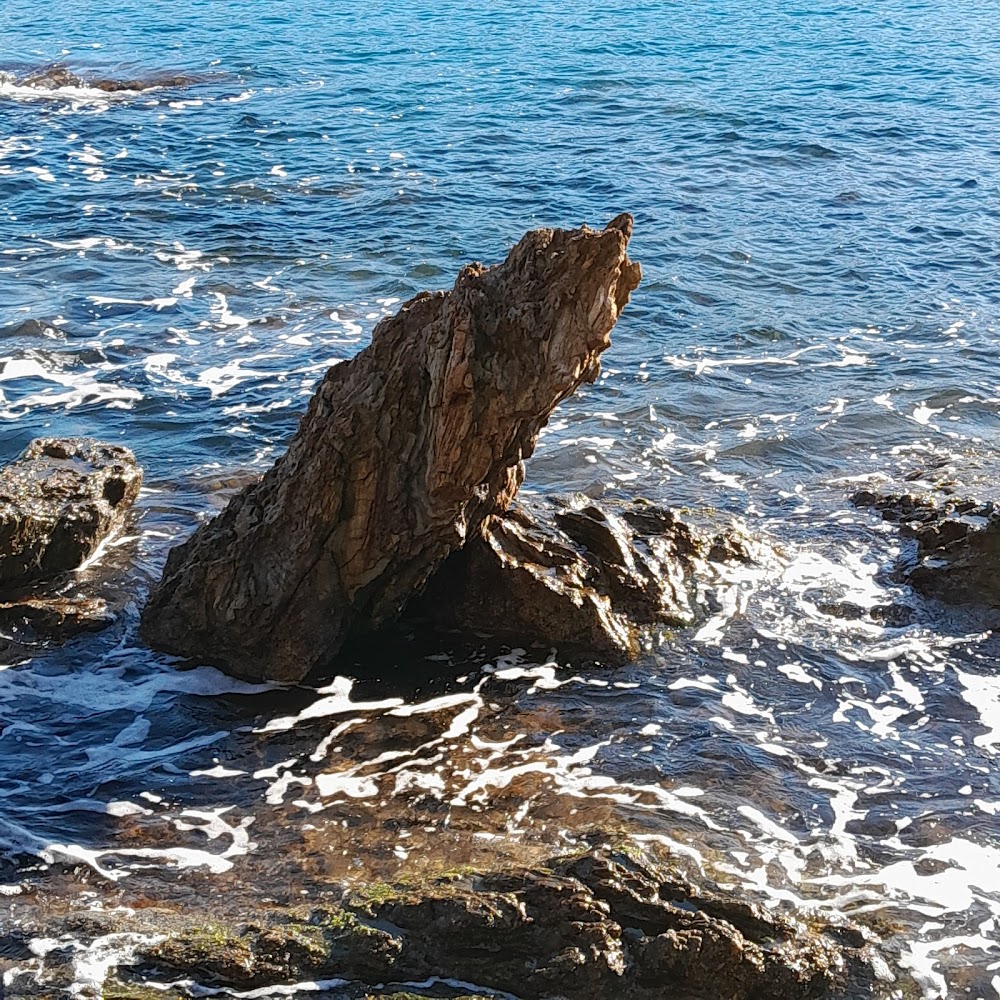 Plage Centrale
