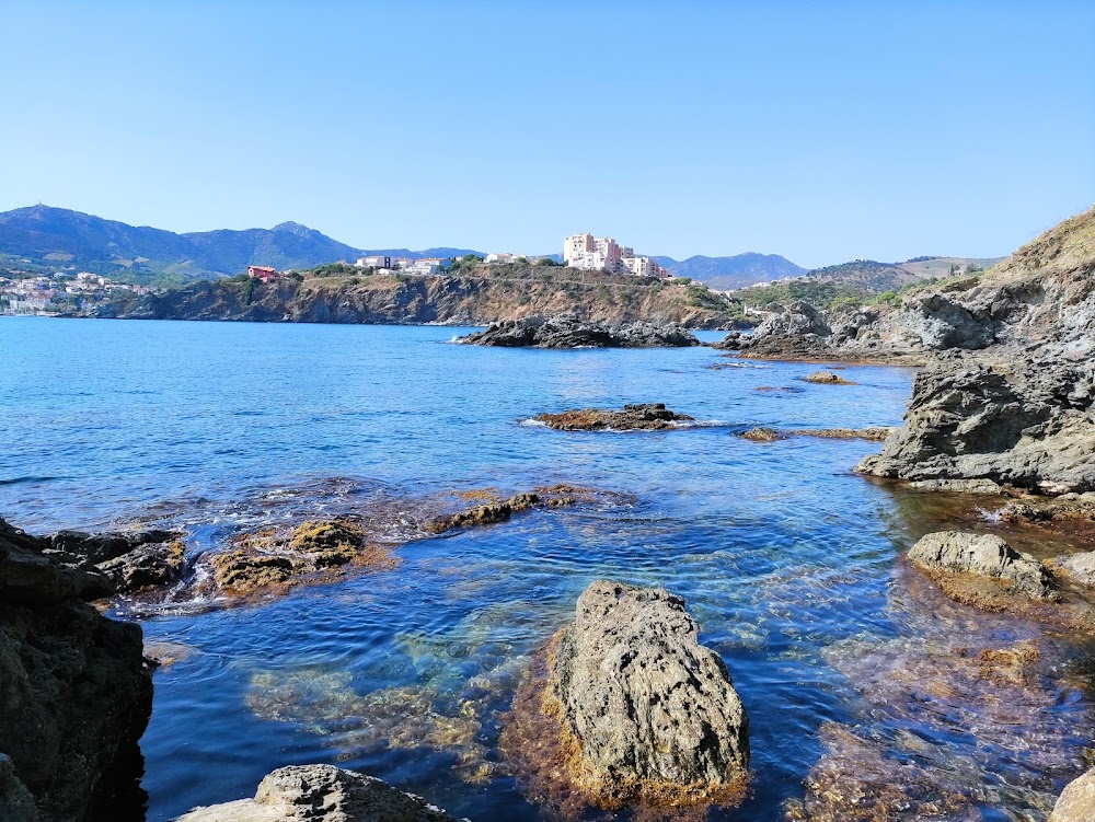 Plage des Elmes
