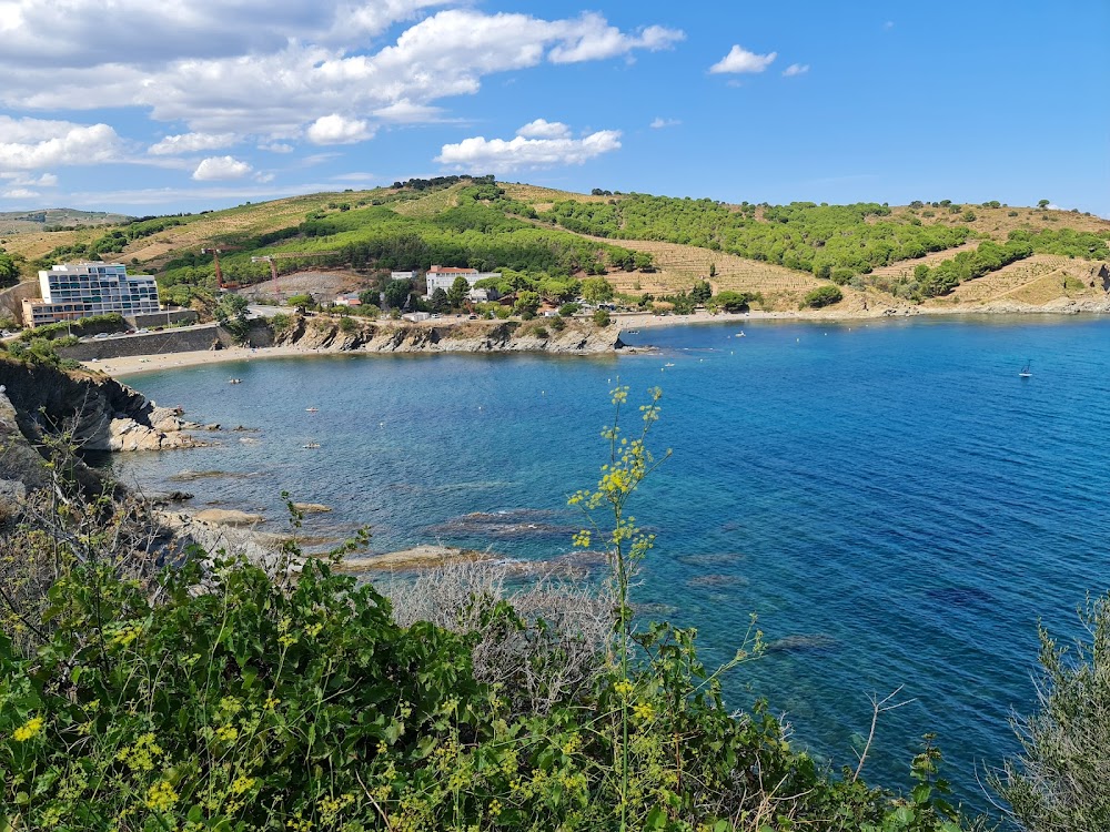 Plage des Elmes