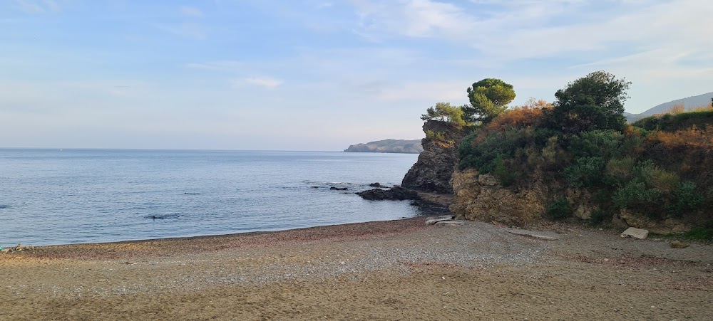 Plage des Elmes