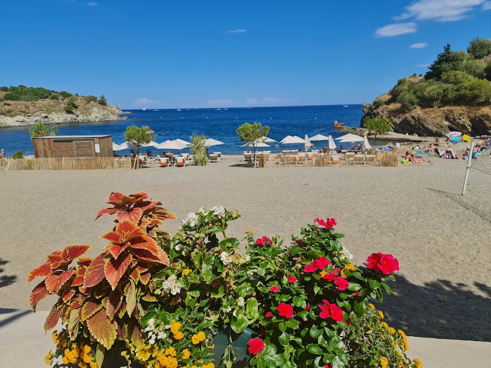 Plage des Elmes