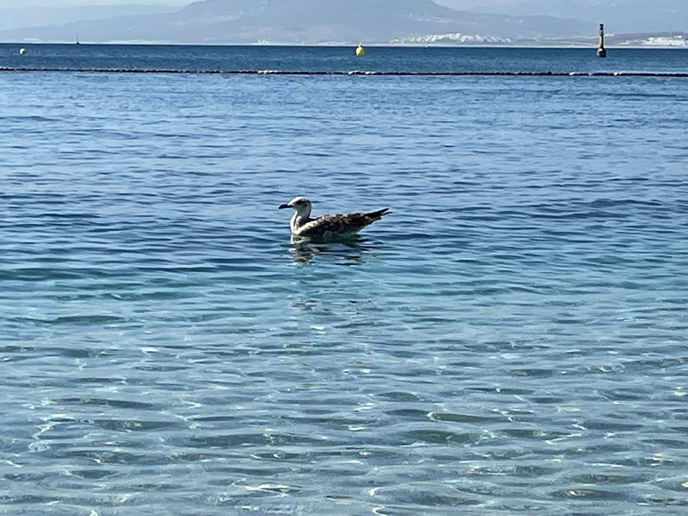 Playa de la Ribera