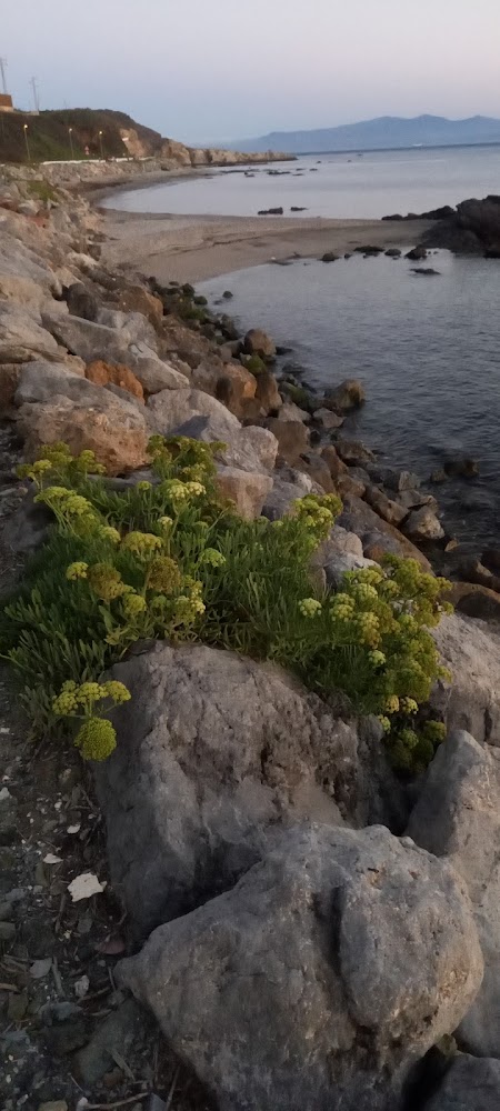 Playa de Calamocarro