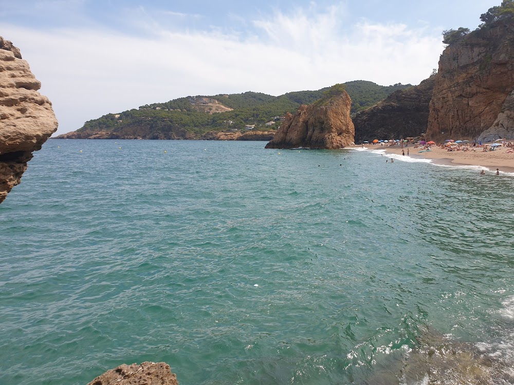 Playa Illa Roja