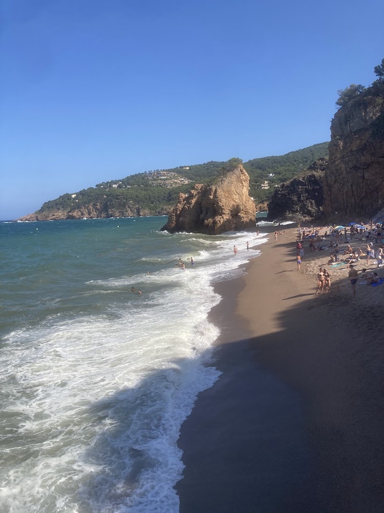 Playa Illa Roja